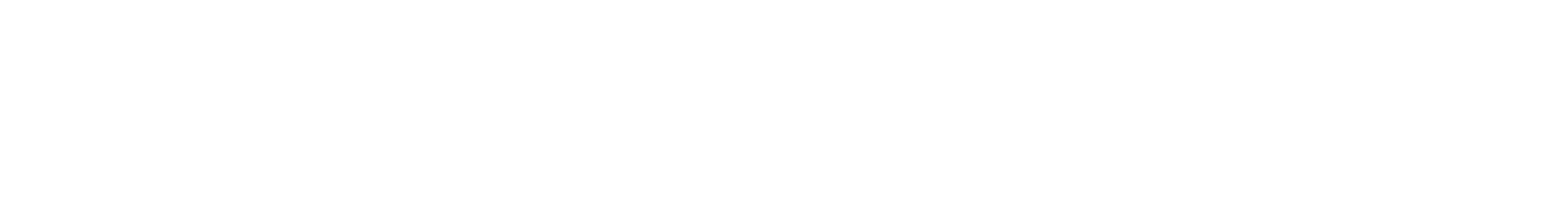 Chris D Sham - Business Development Expert