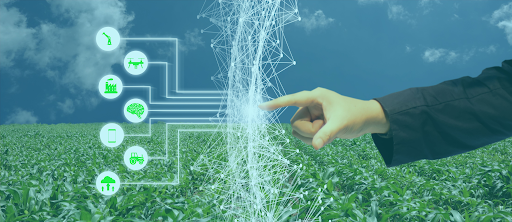 Image illustrating the transformative power of AI harnessed by Big House Enterprises